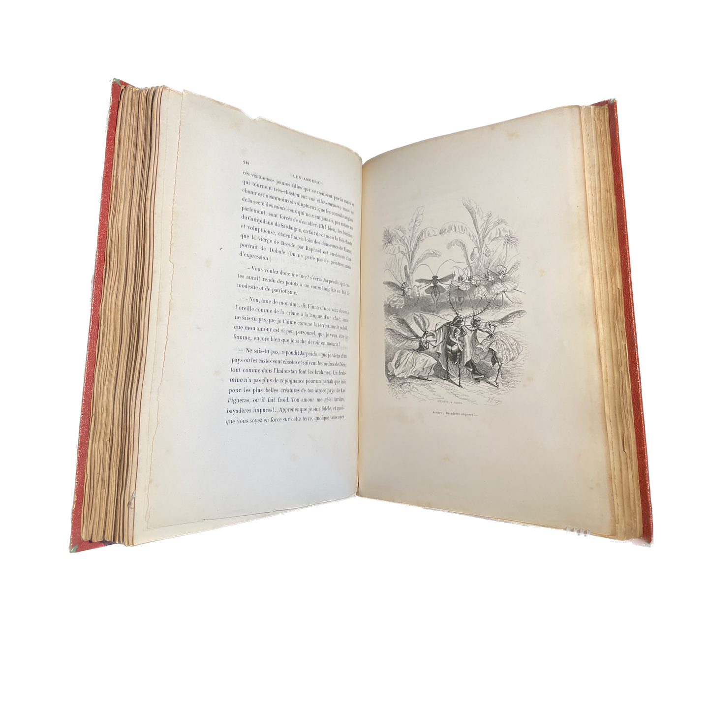 1842 - GRANDVILLE - DE STAHL. Scènes de la vie privée et publique des animaux