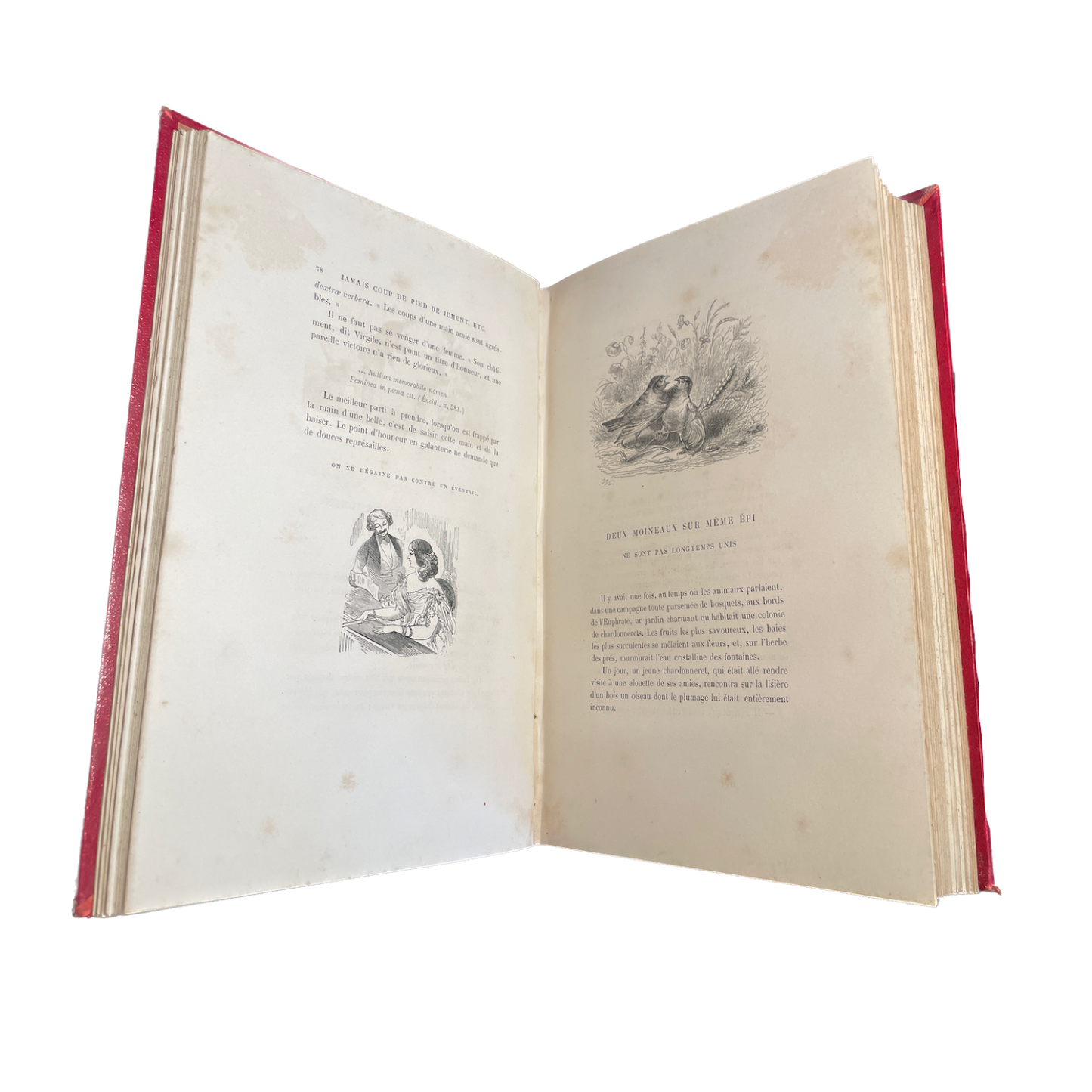 1860 - GRANDVILLE, QUITARD. Cent Proverbes