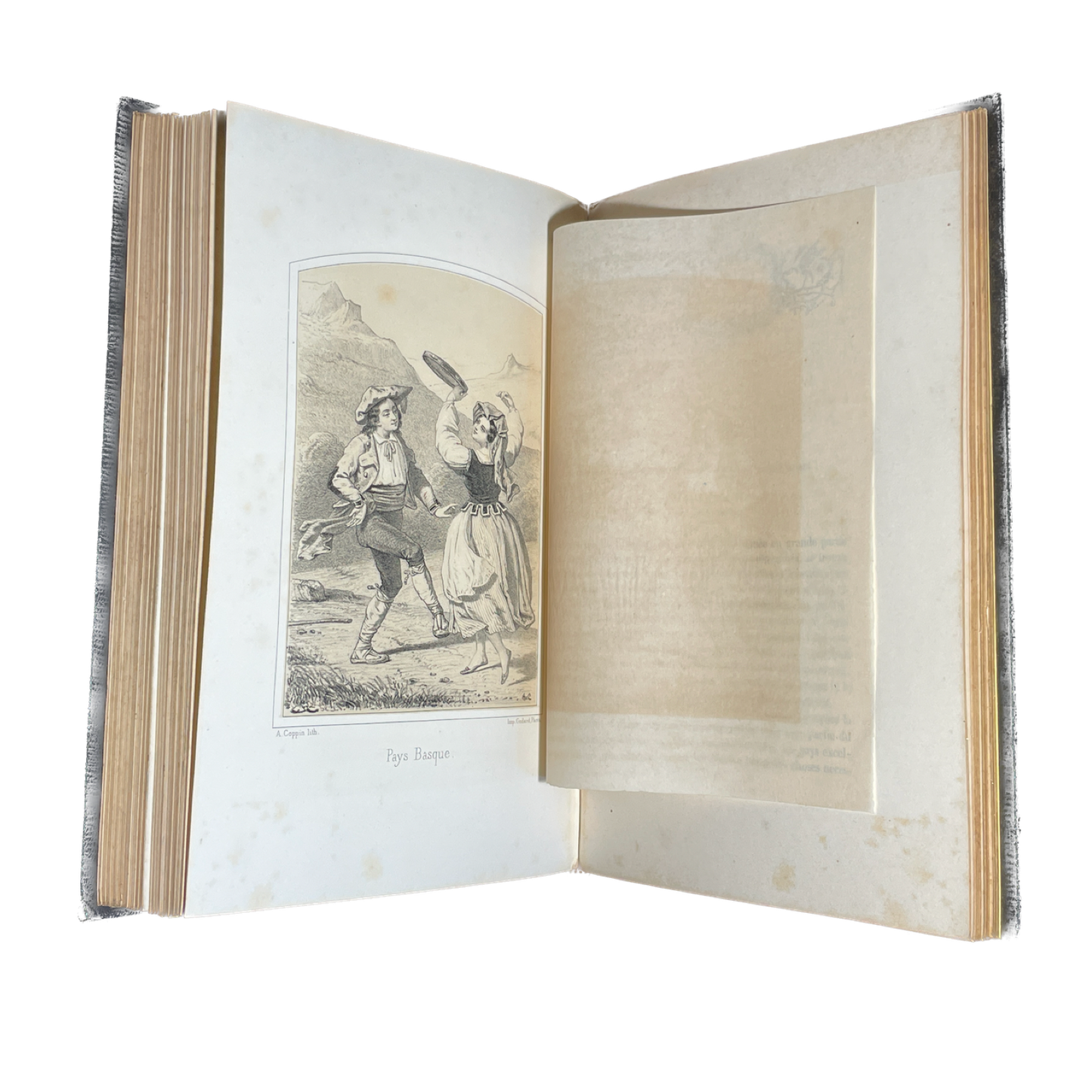 1860 - La France Types Moeurs et Merveilles de la nature - Cartonnage Romantique