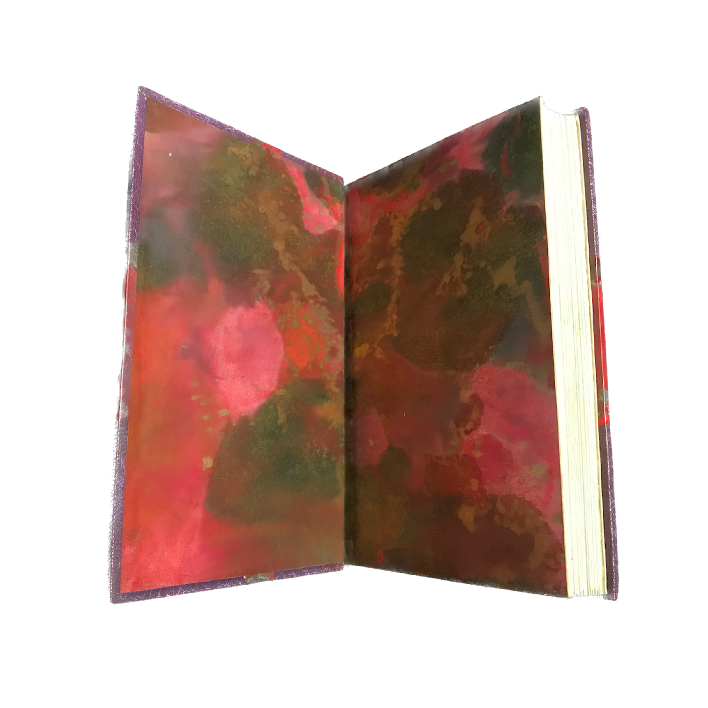 1921 - FLAUBERT (Gustave). Salammbô