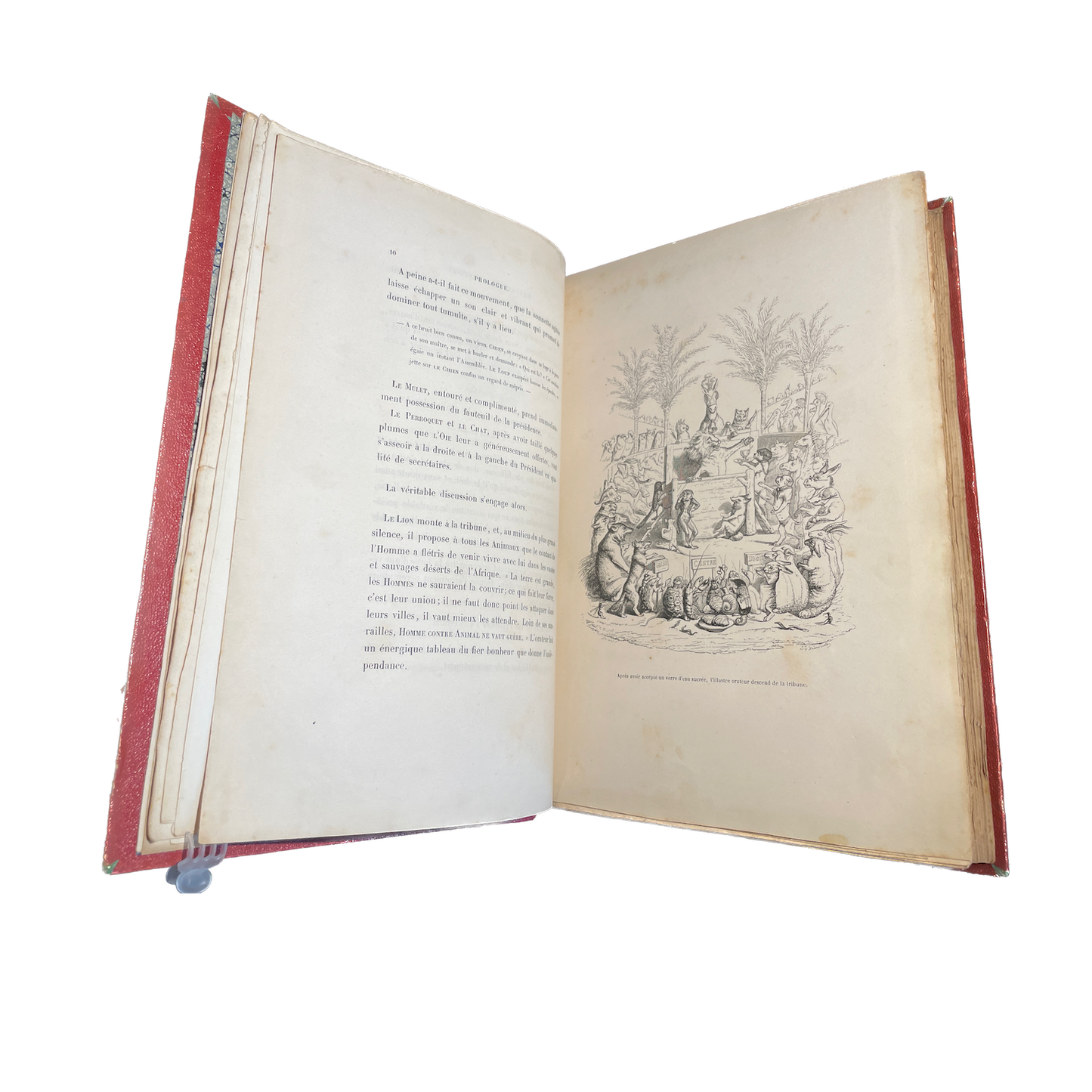1842 - GRANDVILLE - DE STAHL. Scènes de la vie privée et publique des animaux