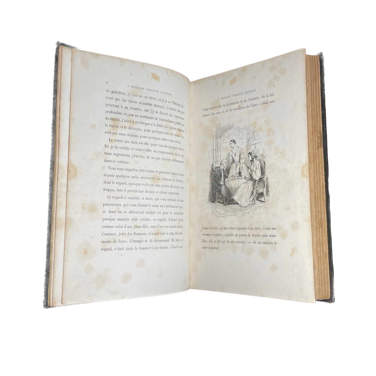 1854 - X-B SAINTINE - PICCIOLA - 24e Edition