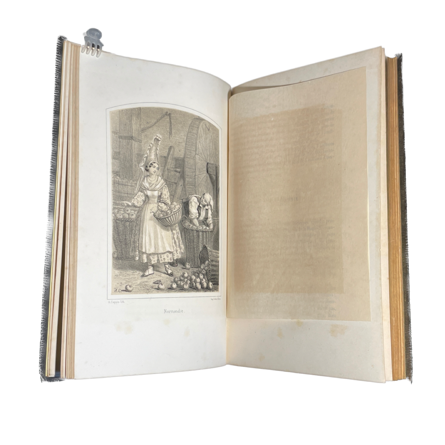 1860 - La France Types Moeurs et Merveilles de la nature - Cartonnage Romantique