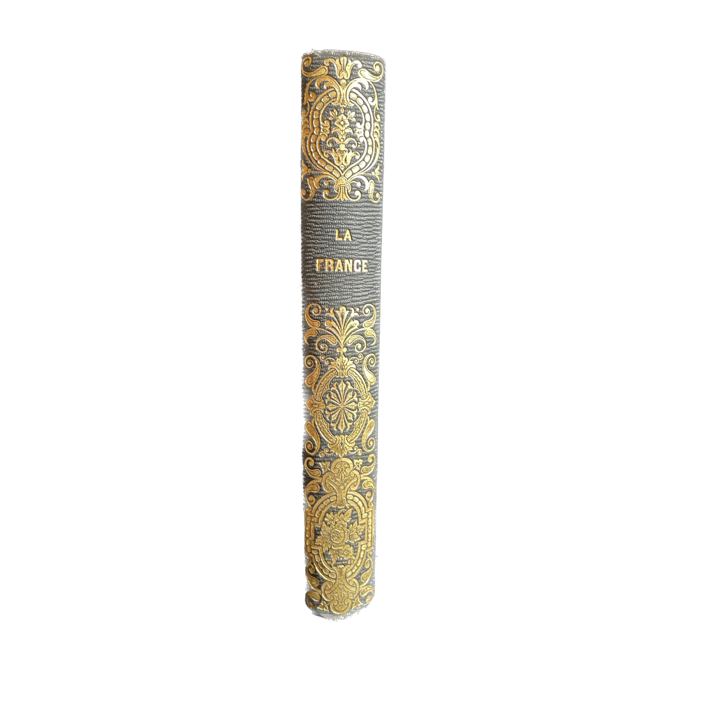1860 - La France Types Moeurs et Merveilles de la nature - Cartonnage Romantique
