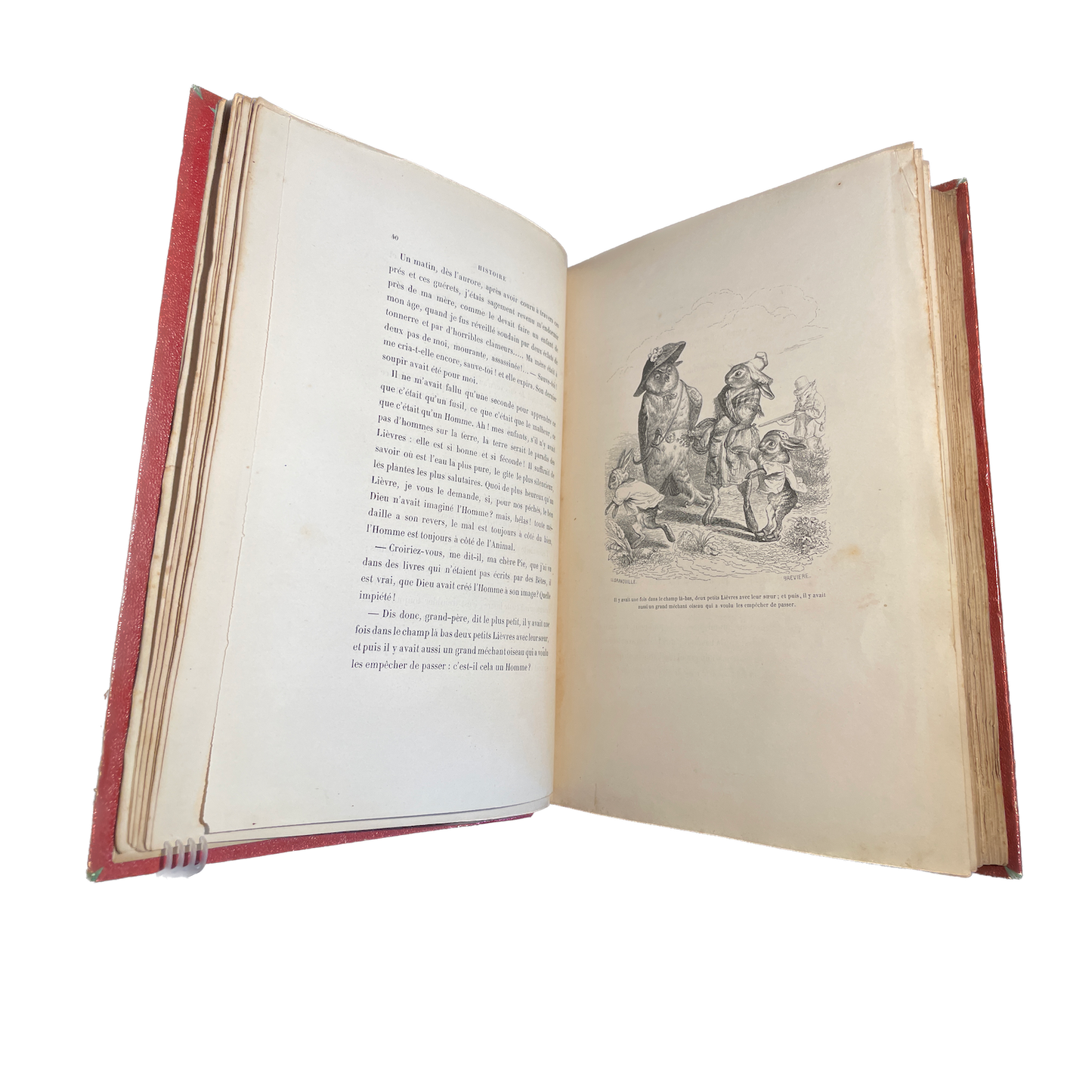 1842 - GRANDVILLE - DE STAHL. Scènes de la vie privée et publique des animaux